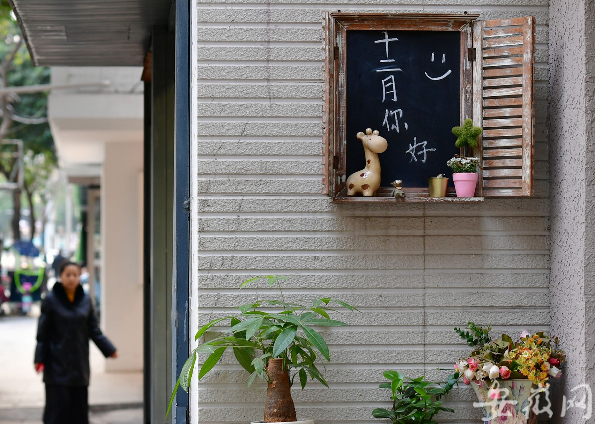 庐阳在首善路上新老合肥“双城记”：红星路上的那些故事总会令人莫名地陶醉