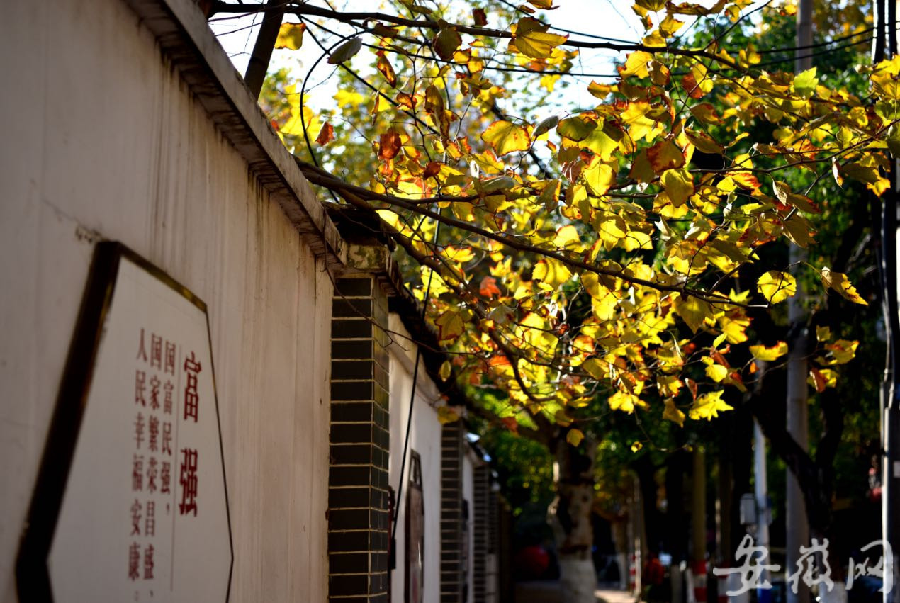 庐阳在首善路上新老合肥“双城记”：红星路上的那些故事总会令人莫名地陶醉