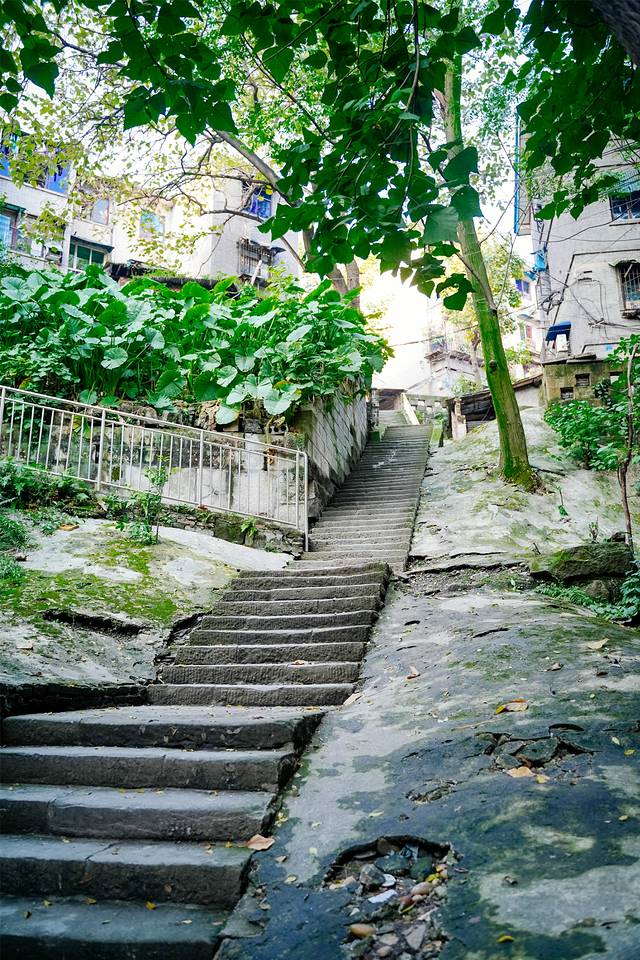 周末打卡景区特色美食推荐,热门旅游美食打卡胜地