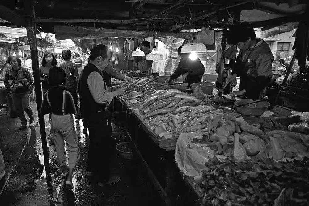 从天上看看你不曾见过的澳门,你没见过的图片