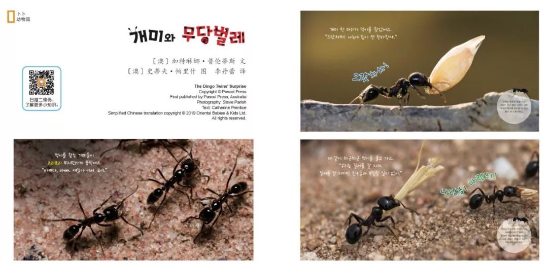 国内口碑NO.1，续订率超过90%的幼儿刊物《东方娃娃》来了！火速抢