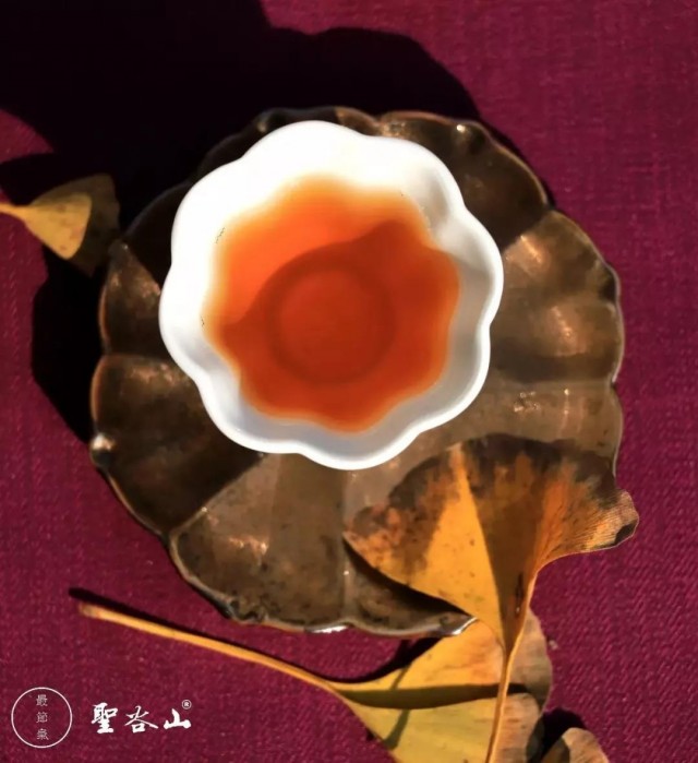 日照古风茶,最风雅的日照茶