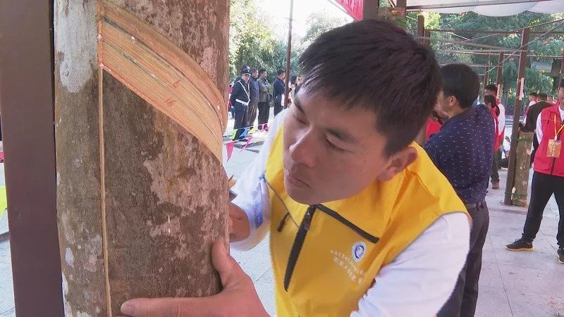 云南省焊接技能大赛,云南省割胶技术培训视频