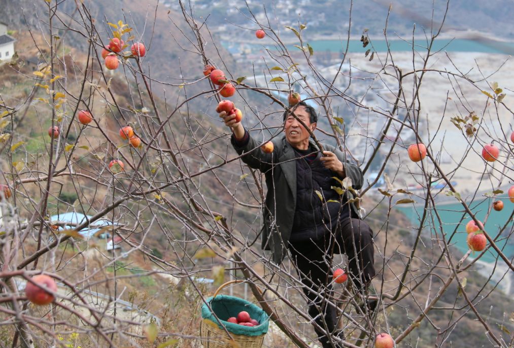 泸定县现代农业,泸定新商机