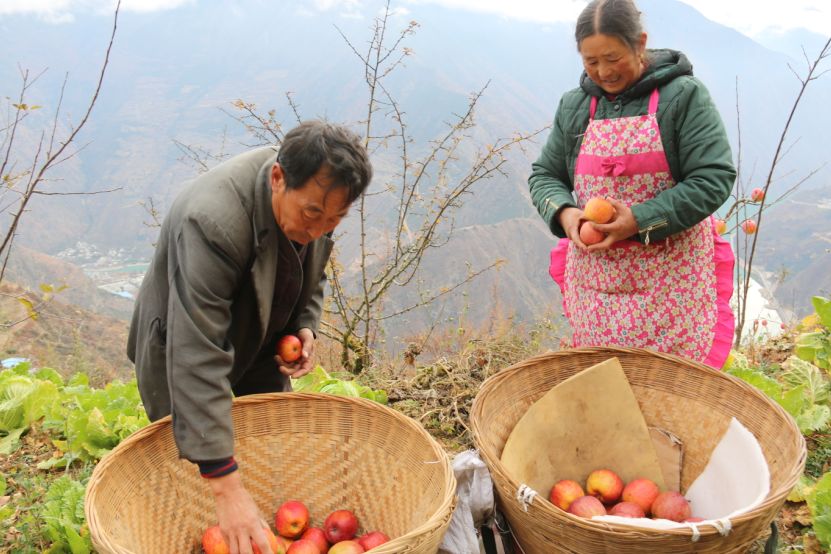 泸定县现代农业,泸定新商机