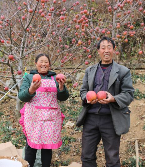 泸定县现代农业,泸定新商机