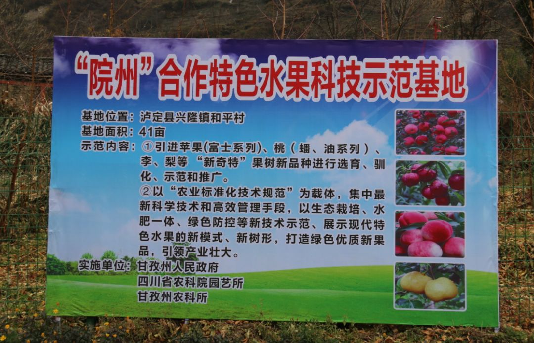 泸定县现代农业,泸定新商机