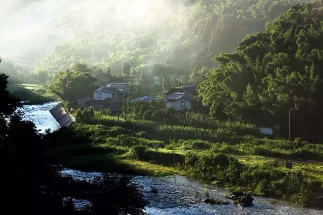 当宫崎骏遇上上海话,当宫崎骏遇到伊藤润二