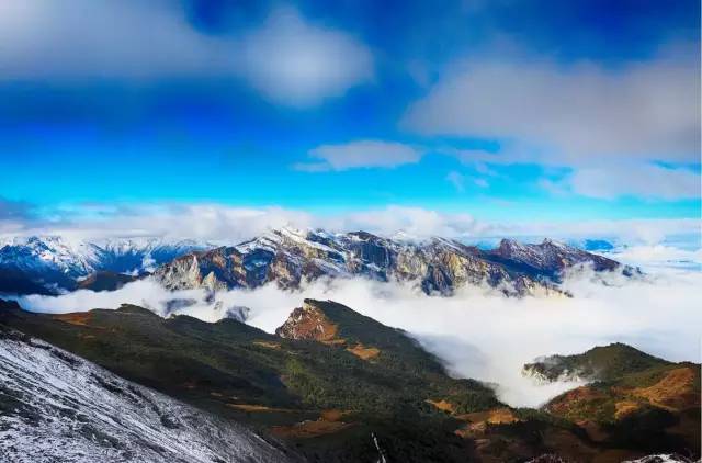 当宫崎骏遇上上海话,当宫崎骏遇到伊藤润二