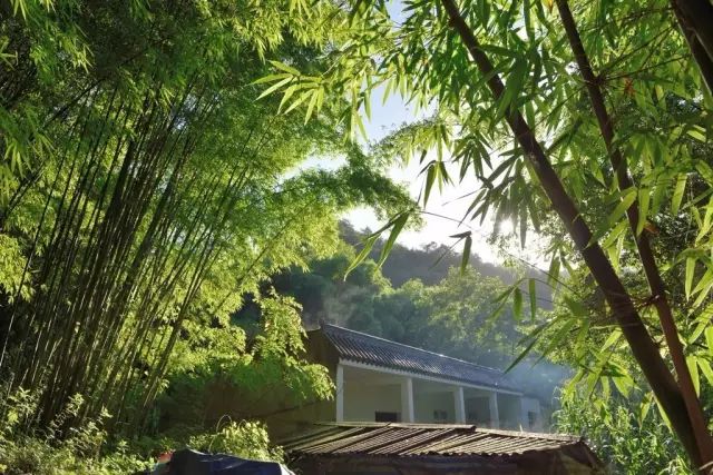 当宫崎骏遇上上海话,当宫崎骏遇到伊藤润二