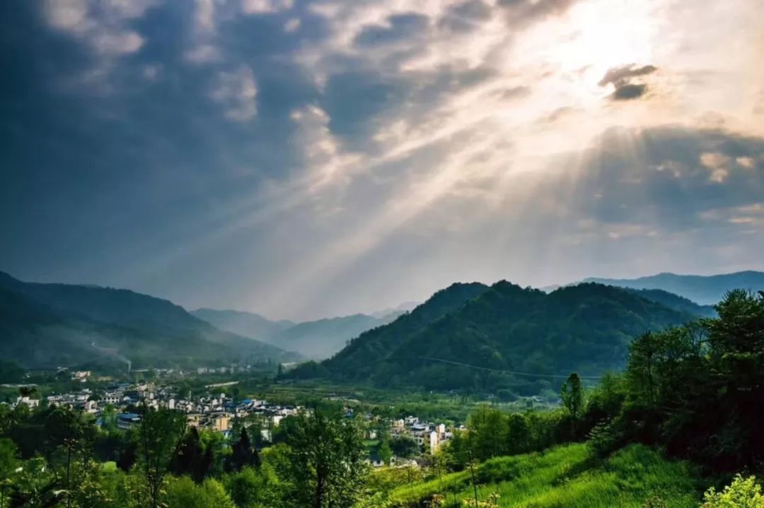 当宫崎骏遇上上海话,当宫崎骏遇到伊藤润二