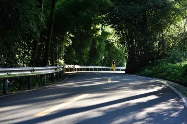 当宫崎骏遇上上海话,当宫崎骏遇到伊藤润二