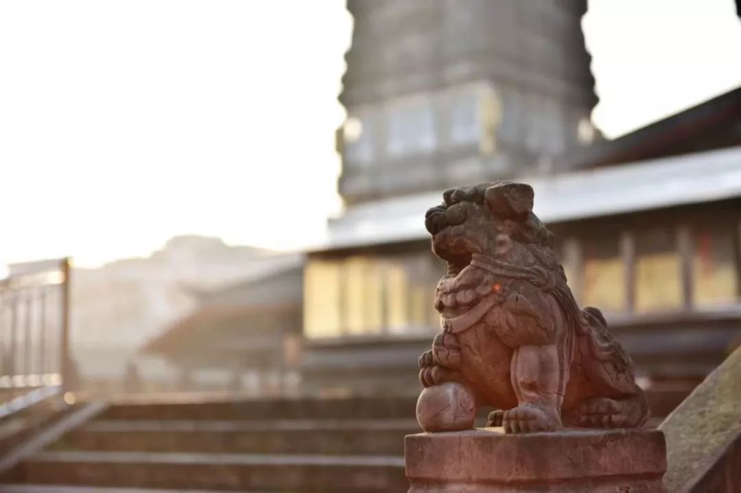 当宫崎骏遇上上海话,当宫崎骏遇到伊藤润二