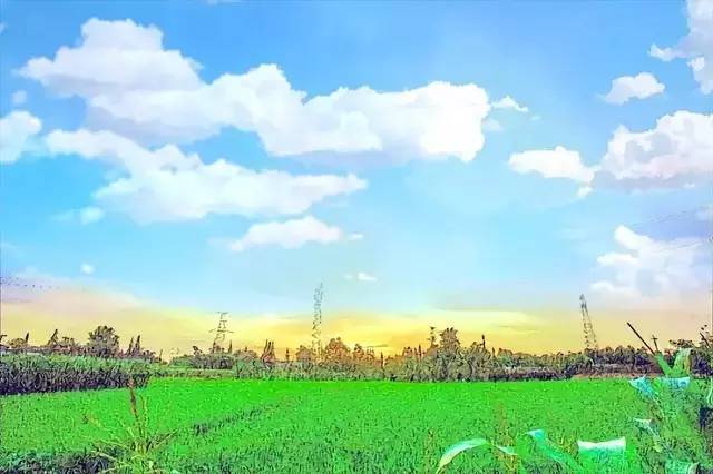 当宫崎骏遇上上海话,当宫崎骏遇到伊藤润二