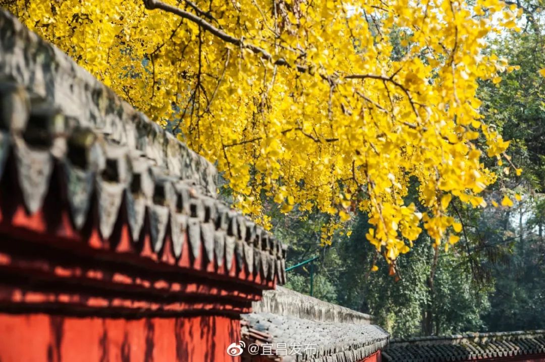 12月没收到发票怎么做账,12月没有收到失业补助金