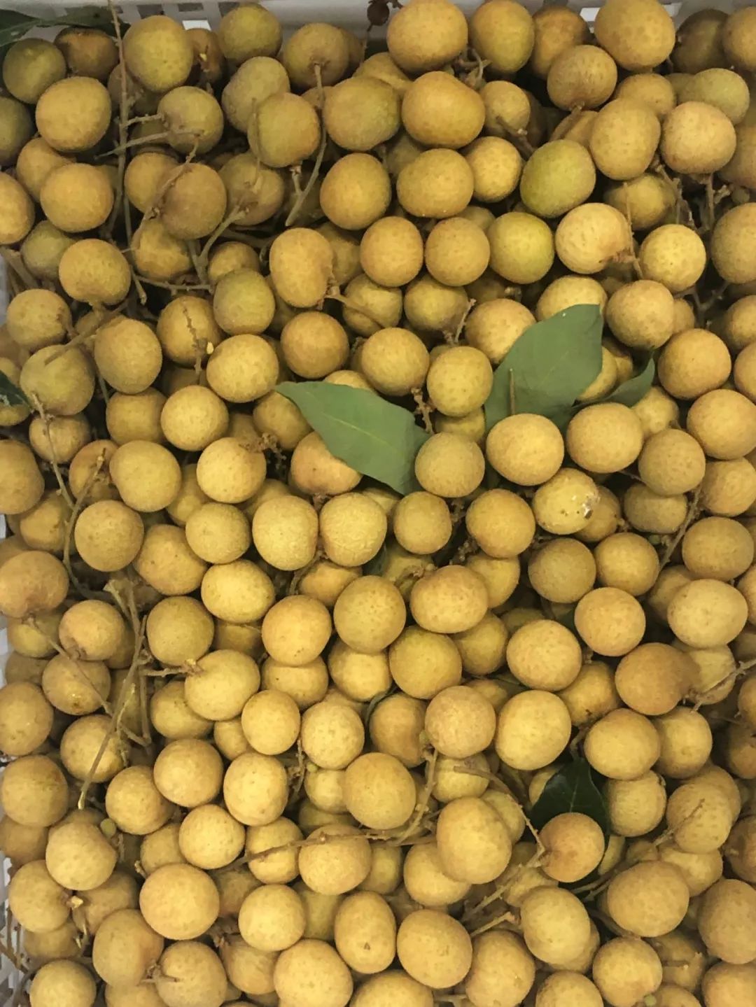 “泰”甜“泰”美！太便宜