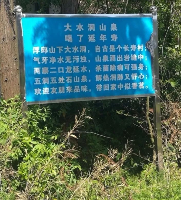 灏侀潰鏂伴椈鐩婇槼,灏侀潰鏂伴椈婀栧崡鐩婇槼鍗楀幙