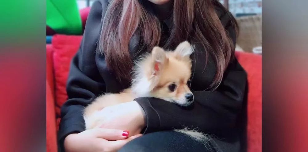 @湖州人，2019你的手机里哪张照片最舍不得删？