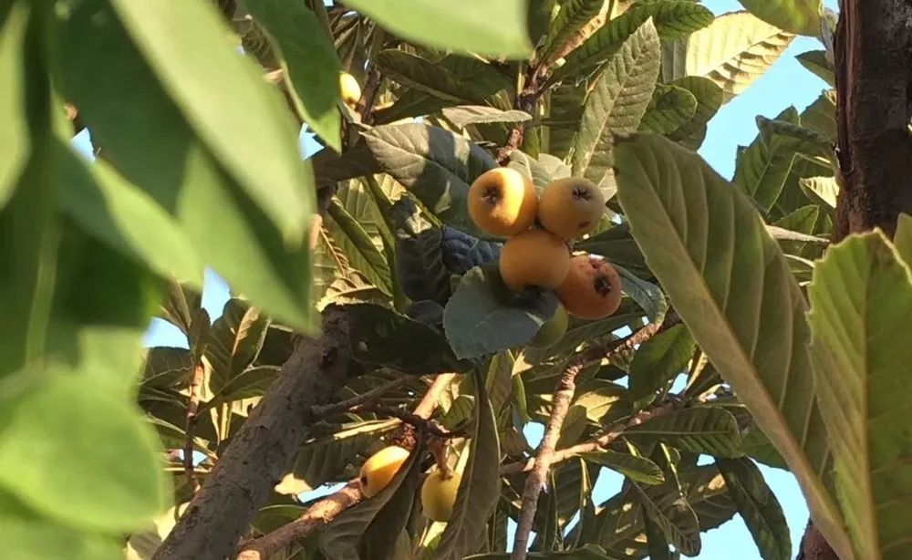 @湖州人，2019你的手机里哪张照片最舍不得删？