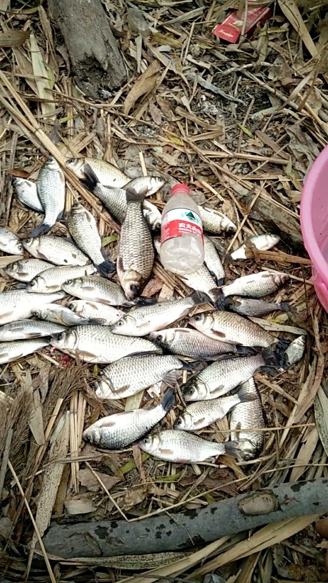 气温低如何钓鱼,冬季低温钓鱼技巧