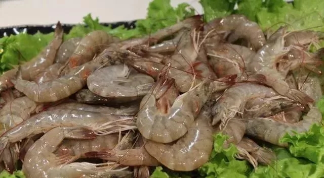鲜虾冷冻保存不黑,鲜虾怎么保存24小时为最新鲜