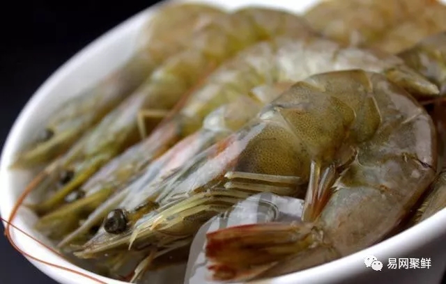鲜虾冷冻保存不黑,鲜虾怎么保存24小时为最新鲜