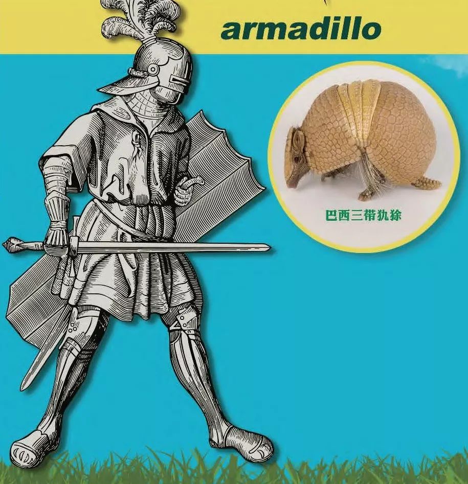 巴西世界杯吉祥物犰狳,巴西吉祥物世界杯