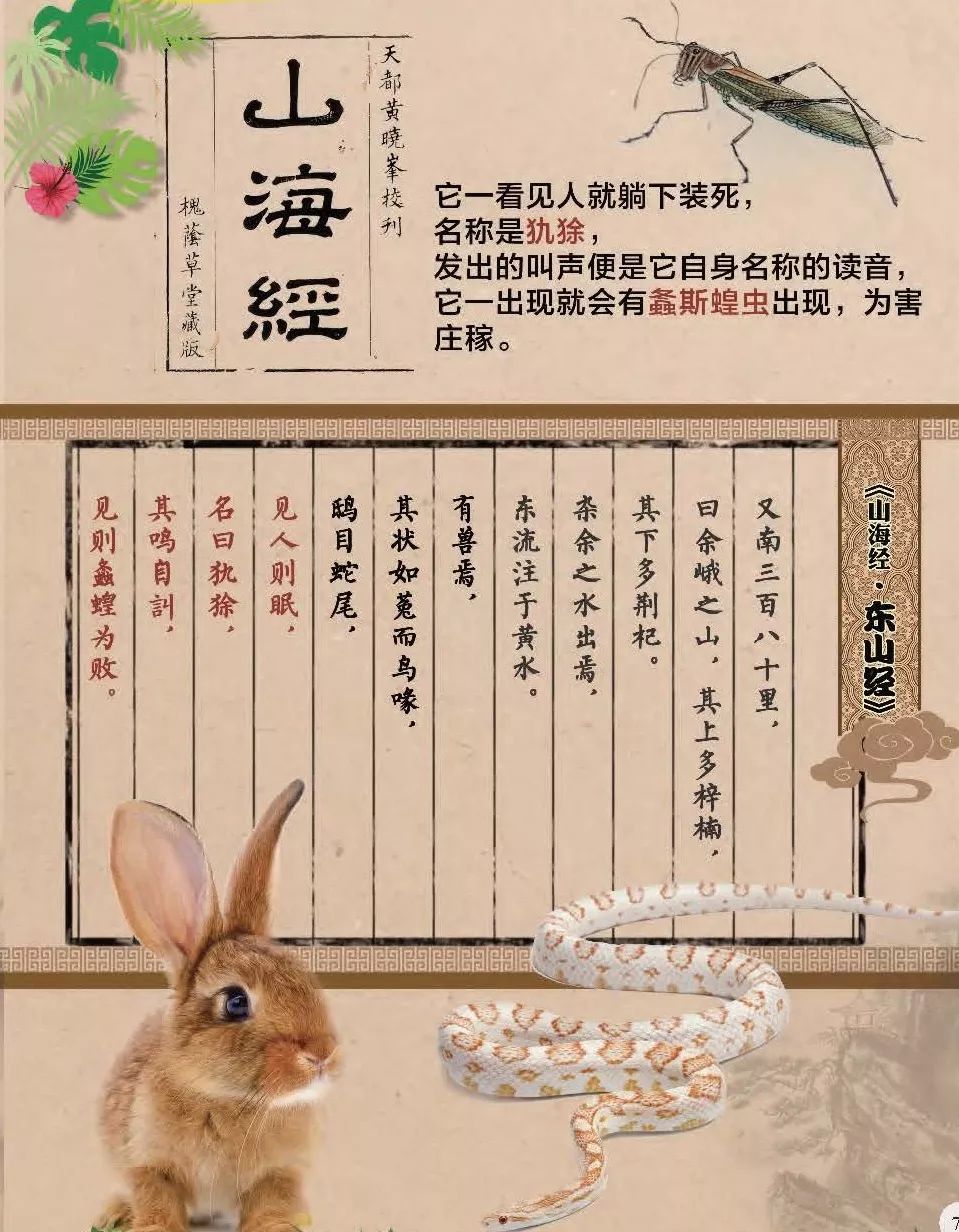 巴西世界杯吉祥物犰狳,巴西吉祥物世界杯