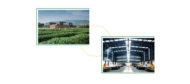 松阳古村落古树人家风景美如画,松阳千年古村落