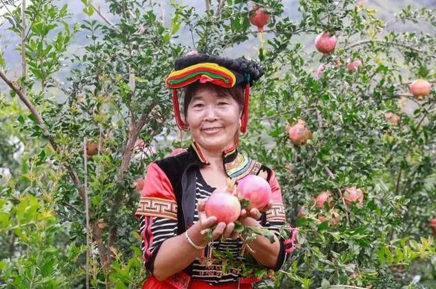 2019新电商在四川：励志残疾商家感动全国百亿补贴催生真香定律