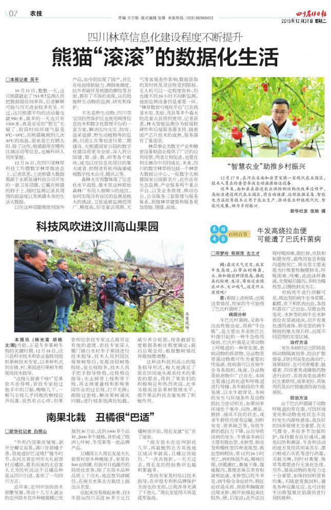 牛肺炎型巴氏杆菌病治疗方案,牛巴氏杆菌病症状和治疗