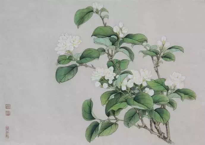 童年旧事|一抹“茉莉香”勾起的滋味