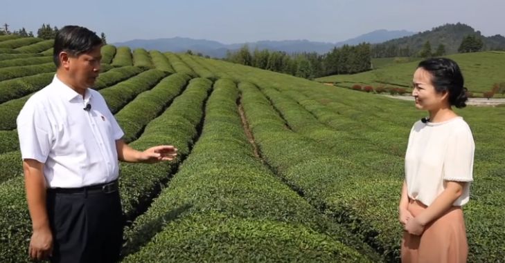 我国哪些产业存在产能过剩问题,中国有哪些产业产能过剩