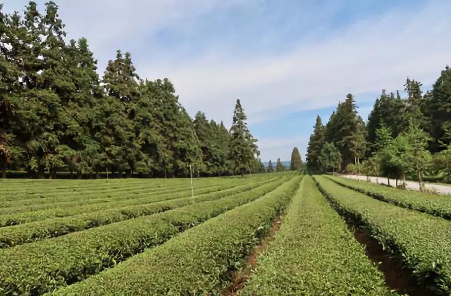 我国哪些产业存在产能过剩问题,中国有哪些产业产能过剩