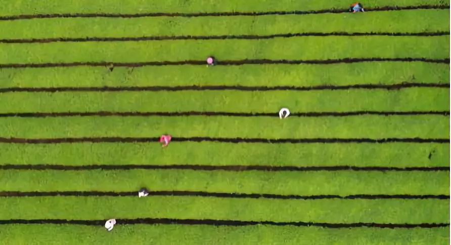 我国哪些产业存在产能过剩问题,中国有哪些产业产能过剩