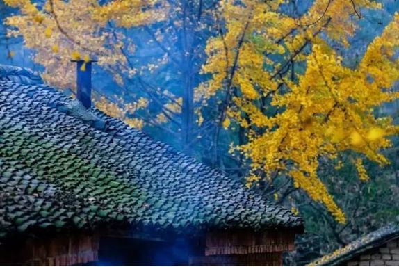 关于春节的十首诗词,新年诗句最好的十首