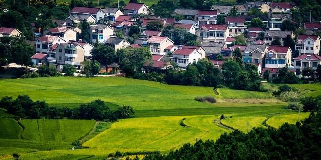 南京小众村庄,南京最低调又好玩的地方