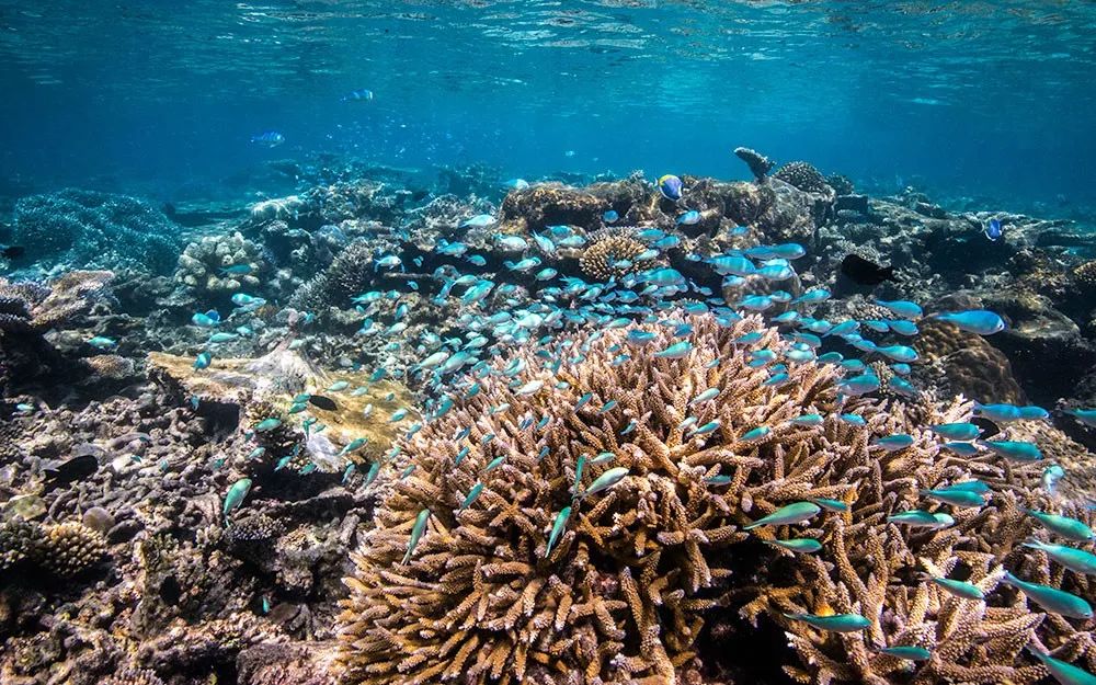 2万预算能去马尔代夫吗,2万元马尔代夫旅游