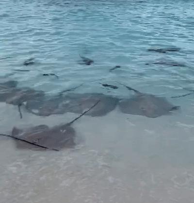 2万预算能去马尔代夫吗,2万元马尔代夫旅游