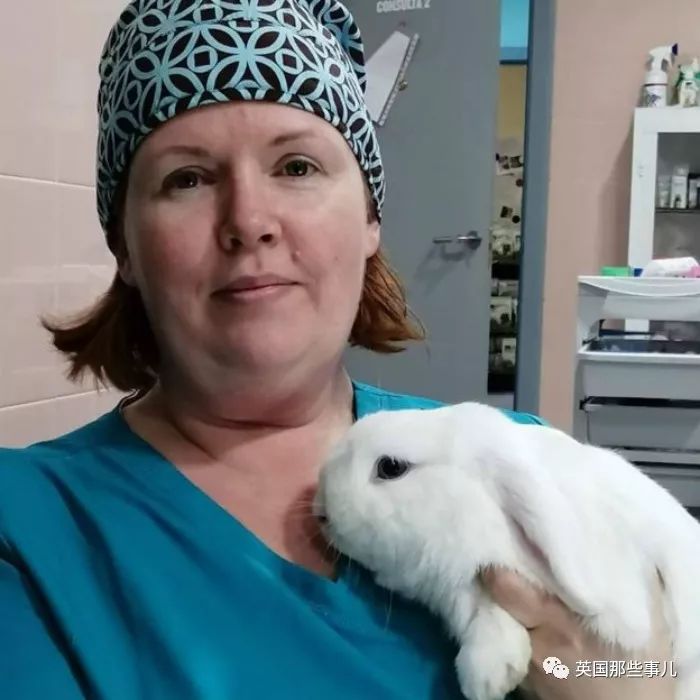 兽医给蟑螂做手术,兽医给猫咪做手术取出鼻子里的虫