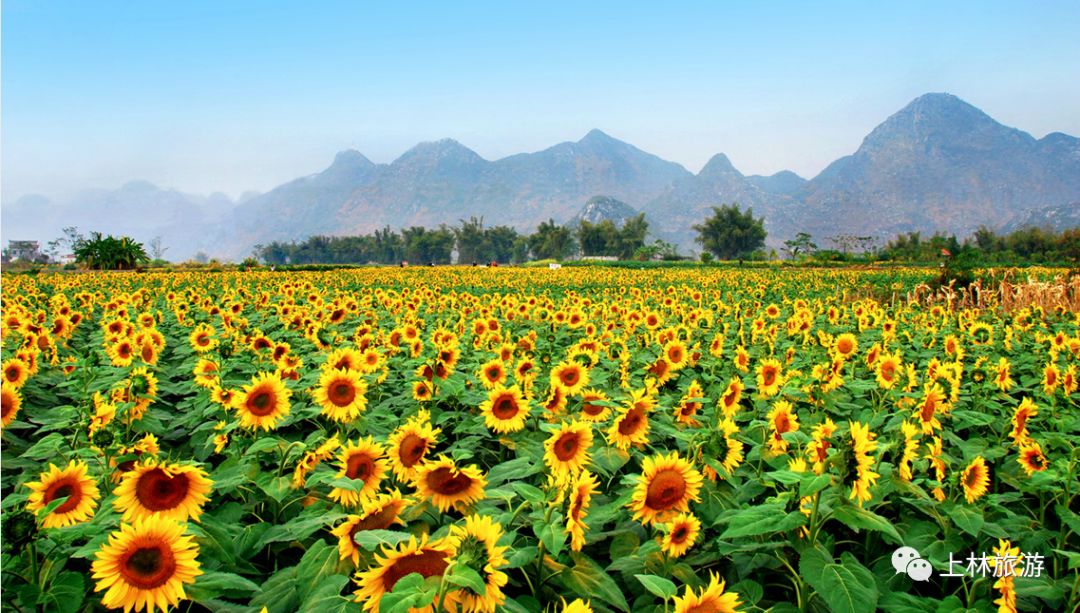 醉美上林山歌,广西南宁市上林县徐霞客旅游