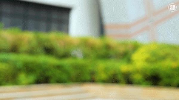 深圳人均500吃的怎么样,深圳一天10块钱能吃什么