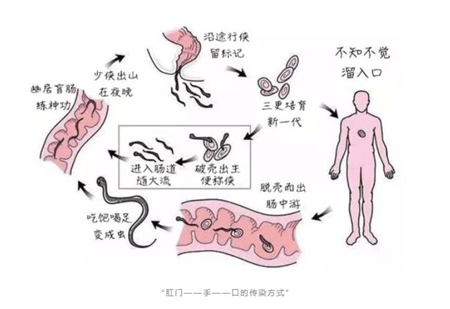 肛门痒有蛲虫子用什么药,小孩屁股痒有蛲虫怎么止痒