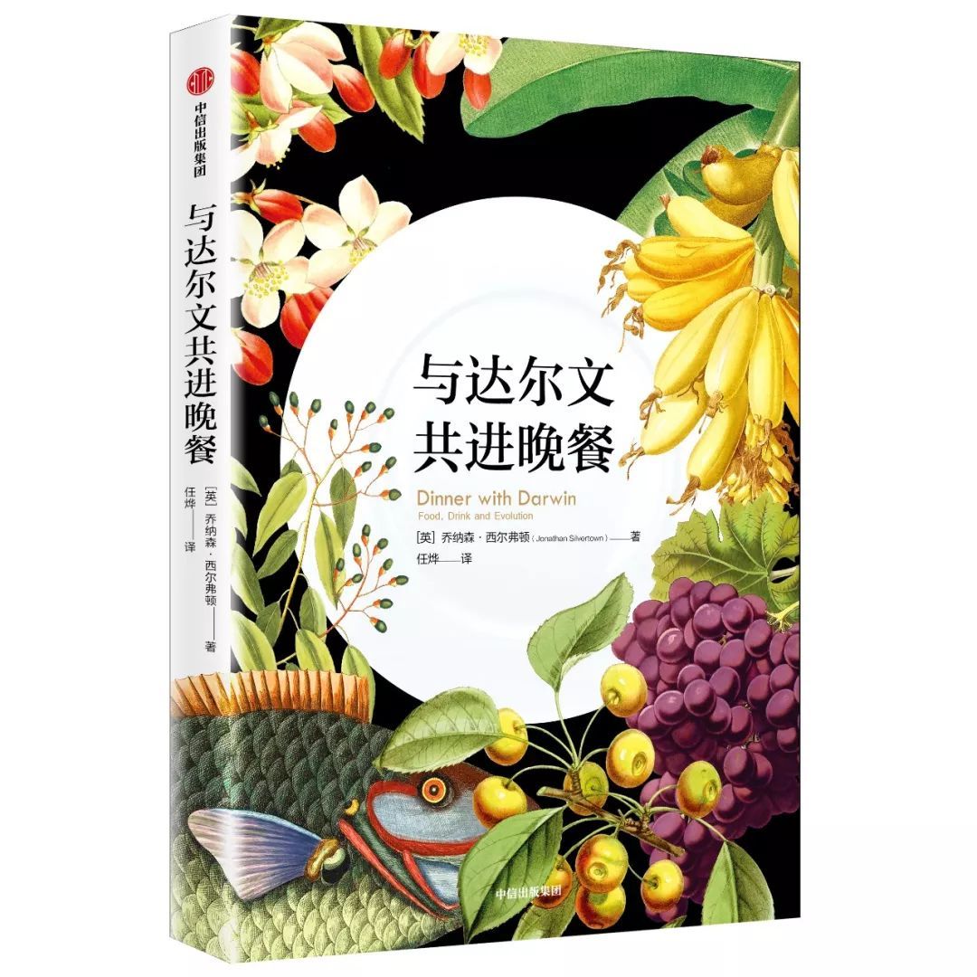 圣诞节送给大家一个礼物,圣诞节快到了我们交换礼物
