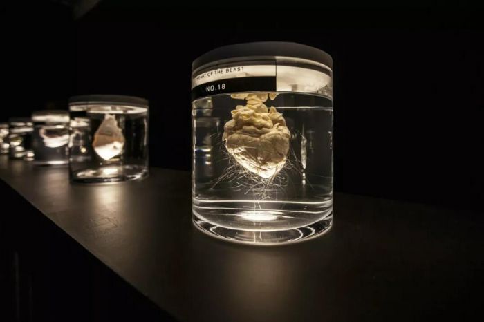 艺术与科技的关系,浅析艺术与生活的关系