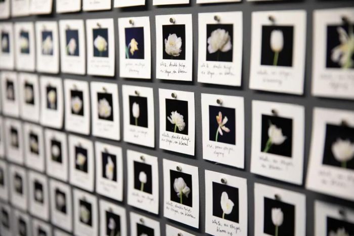 艺术与科技的关系,浅析艺术与生活的关系