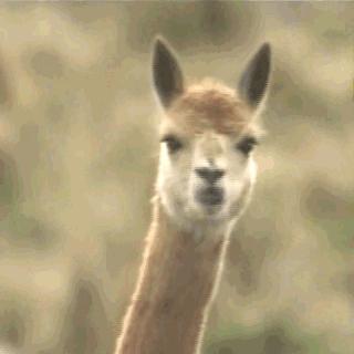 专家说阿奇霉素尽量别吃,阿奇霉素和哪些药合用会过敏