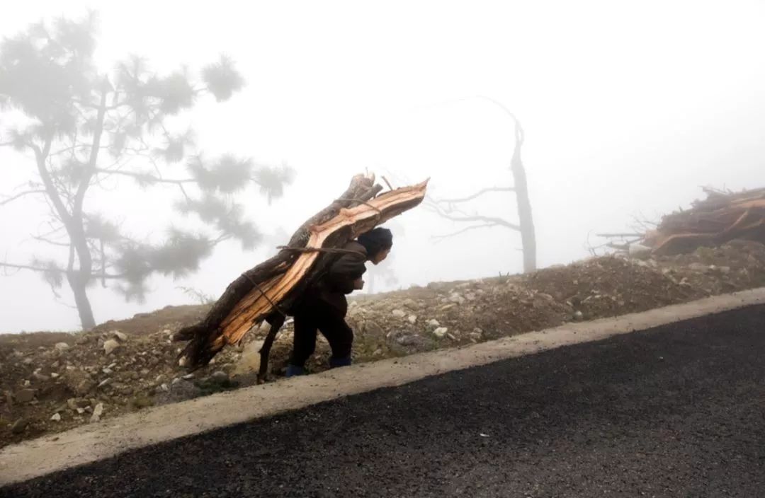 “风”带来了远山的呼唤——《风——在大巴山大凉山中的杨凯生》扶贫摄影展侧记