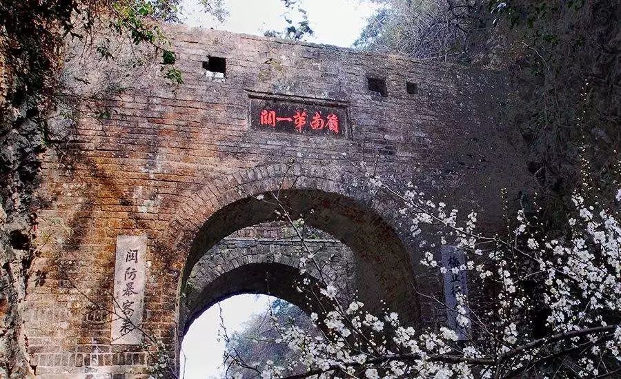 南国的两面:江南vs岭南