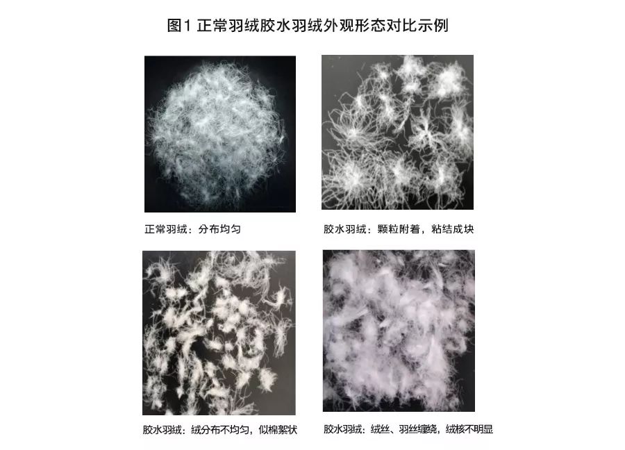 羽绒服为什么要做防钻绒测试,五防面料羽绒服测试